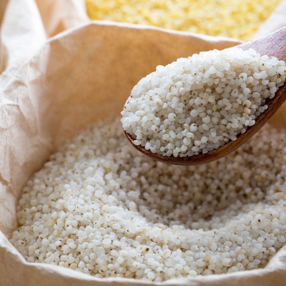 Banyard Millet