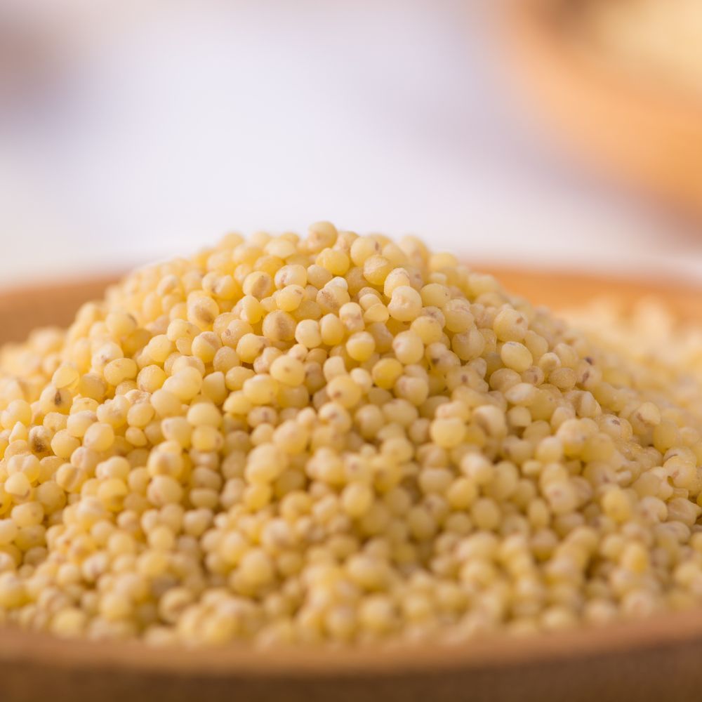Foxtail Millet