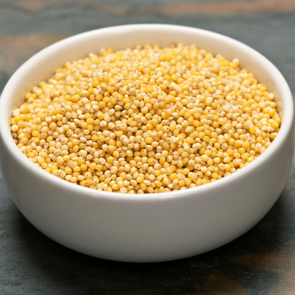 Little Millet